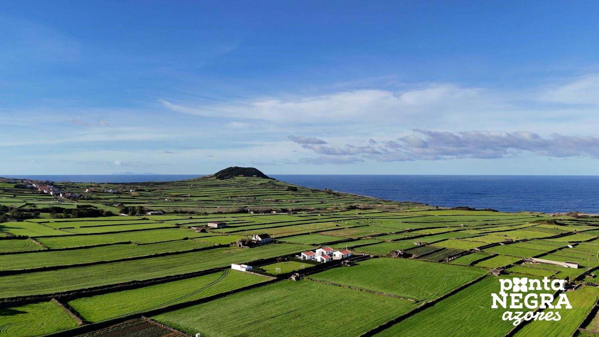 Wine House By Pontanegraazores Villa Altares Eksteriør billede