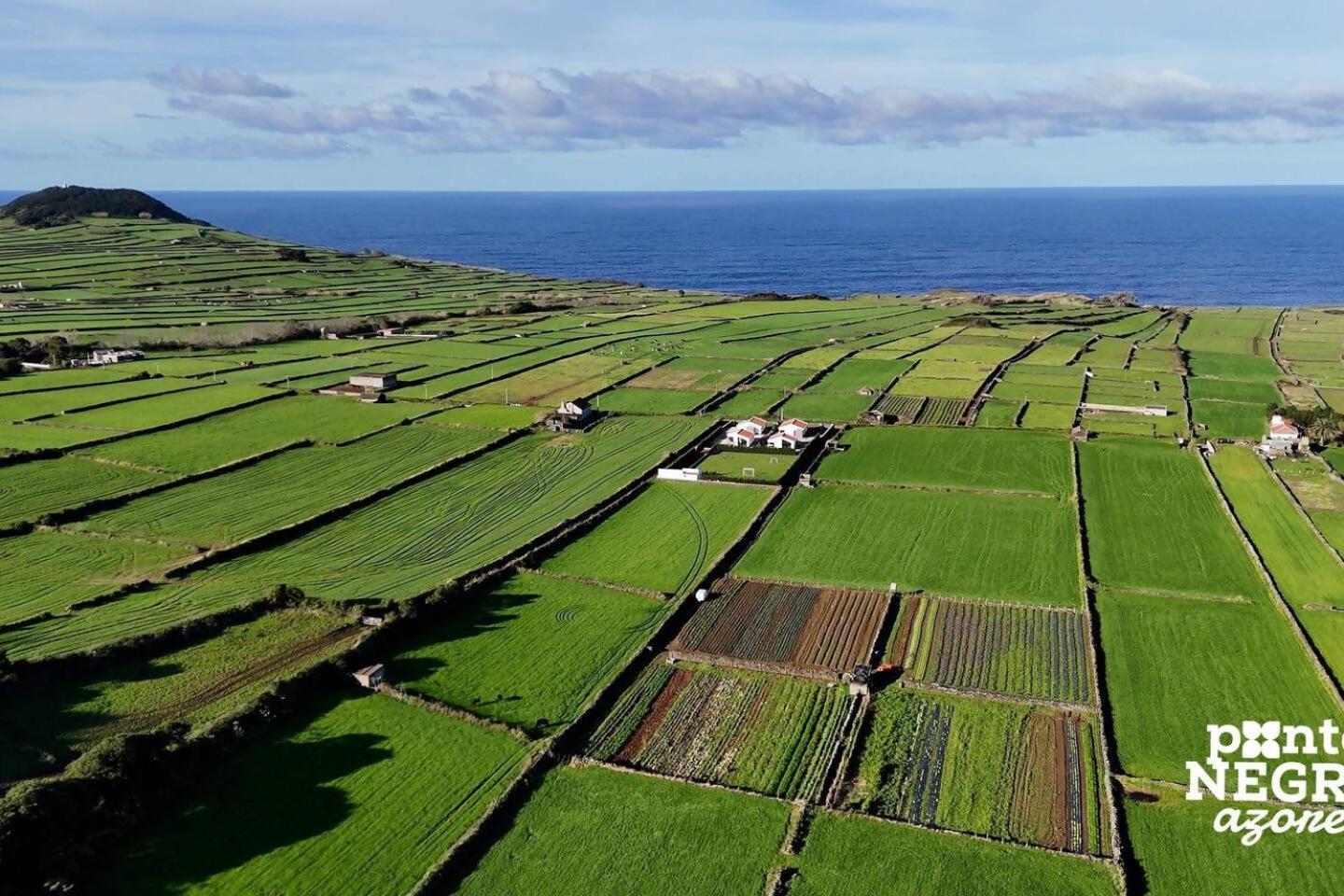 Wine House By Ponta Negra Azores Altares Eksteriør billede